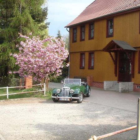 Harzer Ferienpension Timmenrode Bagian luar foto