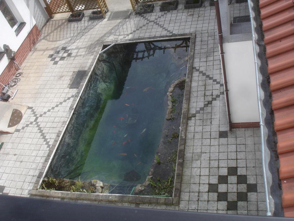 Harzer Ferienpension Timmenrode Bagian luar foto